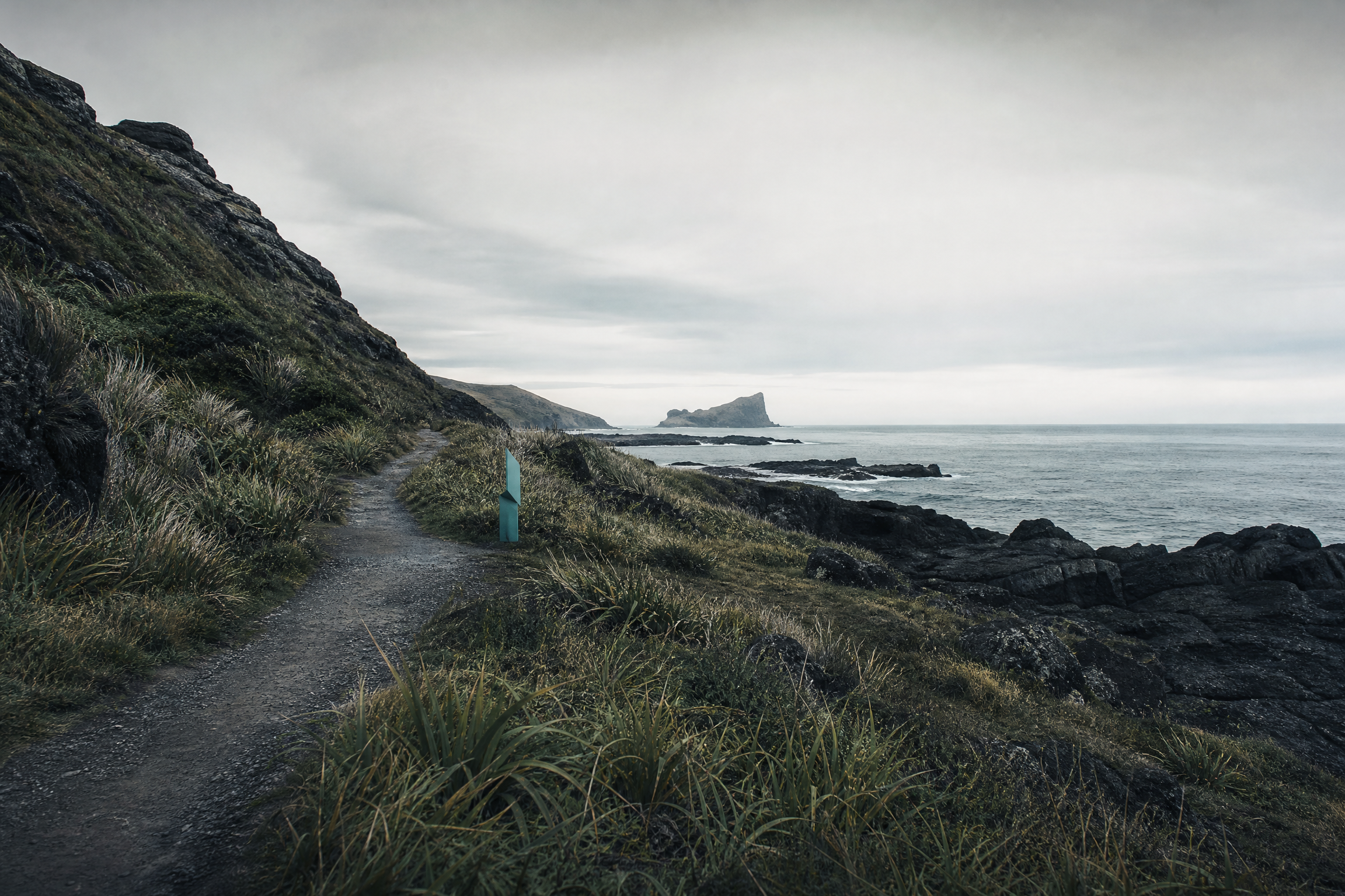 Windswept coastal path in a game environment study